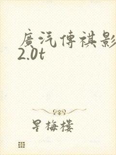 广汽传祺影豹r2.0t