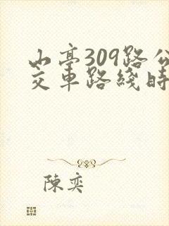 山亭309路公交车路线时间表