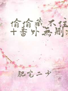 偷偷藏不住全文+番外无删减