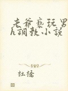 老爷亵玩男宠高h调教小说