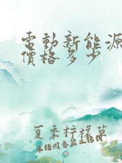 电动新能源汽车价格多少