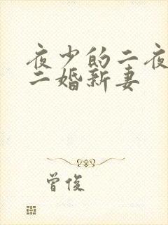 夜少的二夜少的二婚新妻