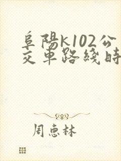阜阳k102公交车路线时间表