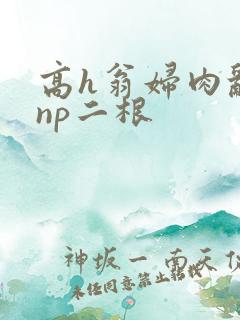 高h翁妇肉乱文np二根 高h翁妇肉乱文np二根