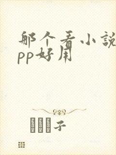 那个看小说的app好用