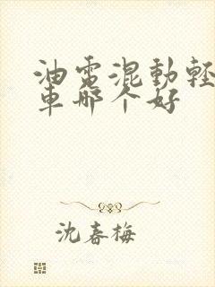 油电混动轻卡货车哪个好
