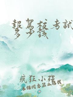 报驾校考试费用多少钱