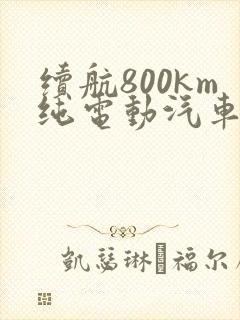 续航800km纯电动汽车