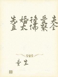 先婚后爱夫人简直太佛系全文免费阅读