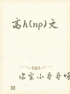 高h(np)文