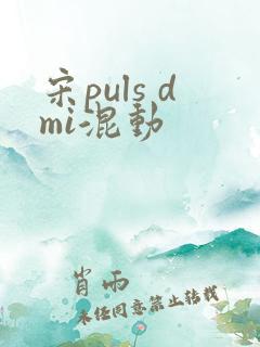 宋puls dmi混动 宋puls dmi混动