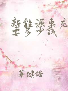 新能源车充满电要多少钱