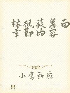 林枫苏慕白最新章节内容
