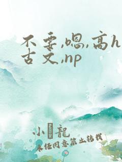 不要,嗯,高h古文,np
