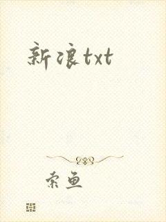 新浪txt