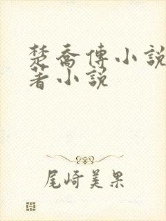 楚乔传小说2原著小说