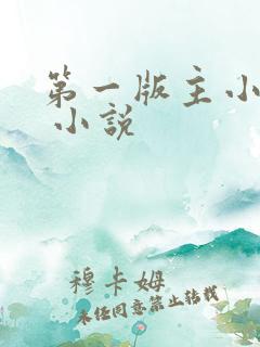 第一版主小说网 小说