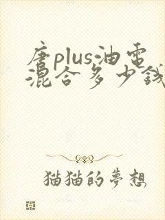 唐plus油电混合多少钱
