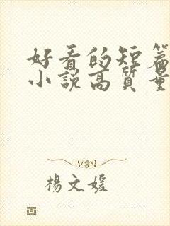 好看的短篇言情小说高质量文笔好