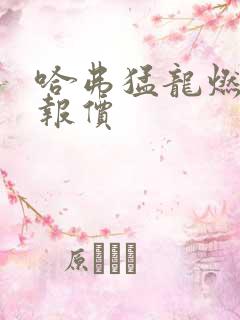 哈弗猛龙燃油版报价