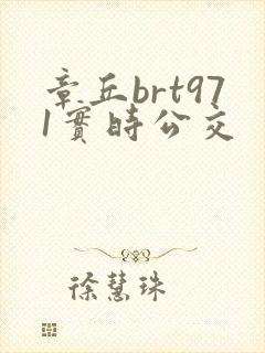 章丘brt971实时公交