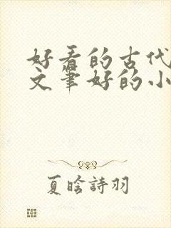 好看的古代言情文笔好的小说