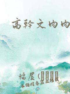 高干文肉肉