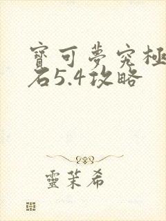 宝可梦究极绿宝石5.4攻略