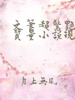 文笔超惊艳的高质量小说现代言情