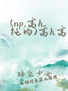 (np,高h,纯肉)高h高辣bl