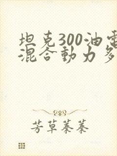 坦克300油电混合动力多少钱