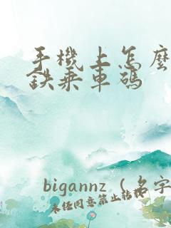 手机上怎么弄地铁乘车码