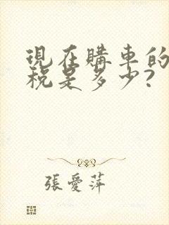 现在购车的购置税是多少?