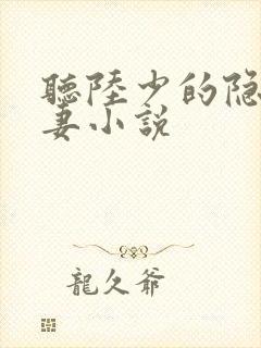 听陆少的隐婚罪妻小说