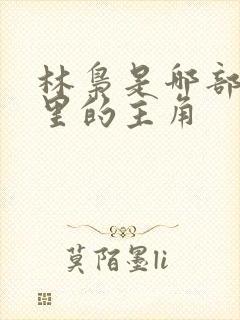 林枭是哪部小说里的主角