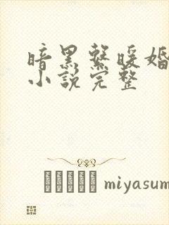 暗黑系暖婚有声小说完整