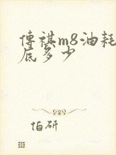 传祺m8油耗到底多少