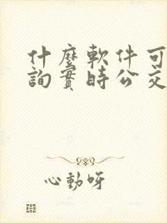 什么软件可以查询实时公交