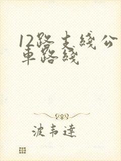 12路支线公交车路线