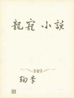 龙宠 小说