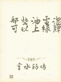 哪些油电混合车可以上绿牌