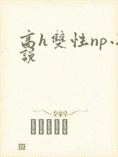 高h双性np小说