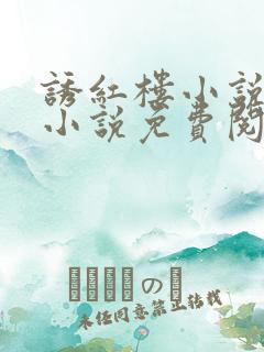 诱红楼小说原著小说免费阅读