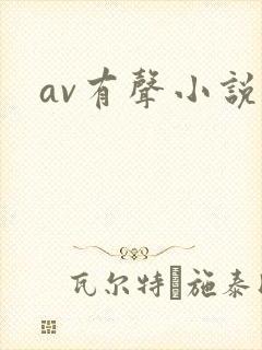 av有声小说