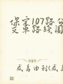 保定107路公交车路线图