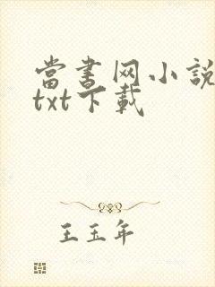 当书网小说免费txt下载