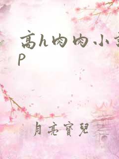 高h肉肉小说np