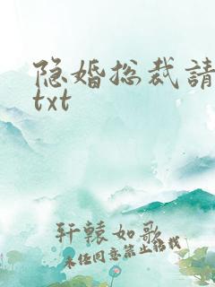 隐婚总裁请签字txt