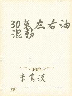 30万左右油电混动