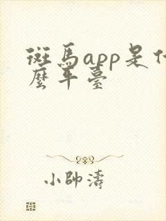 斑马app是什么平台